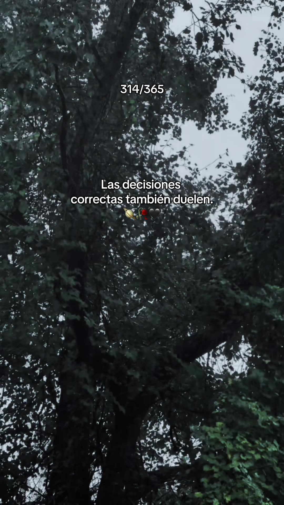 @Izabela Mendez