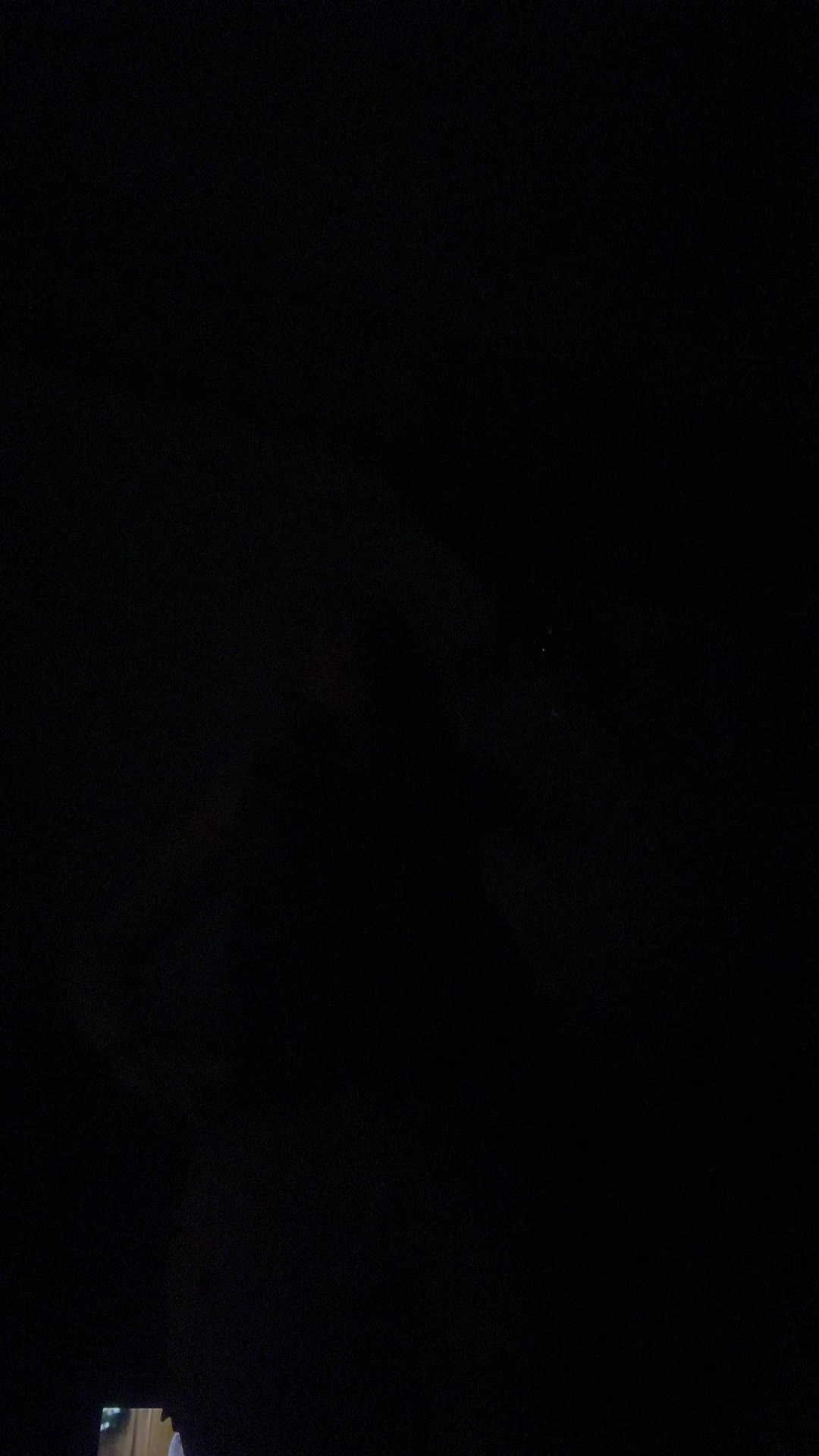 @pixiedust.2304