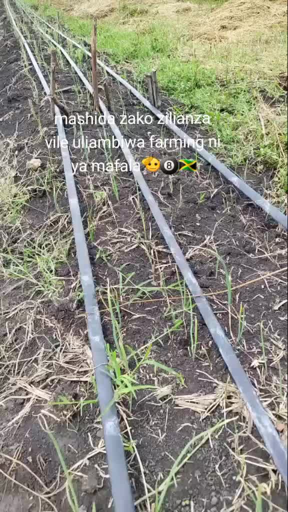@issa farm📉
