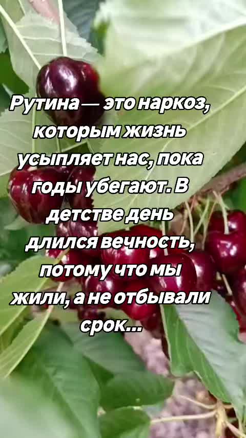 @🇧🇾Чёрная-Пантера🇧🇾