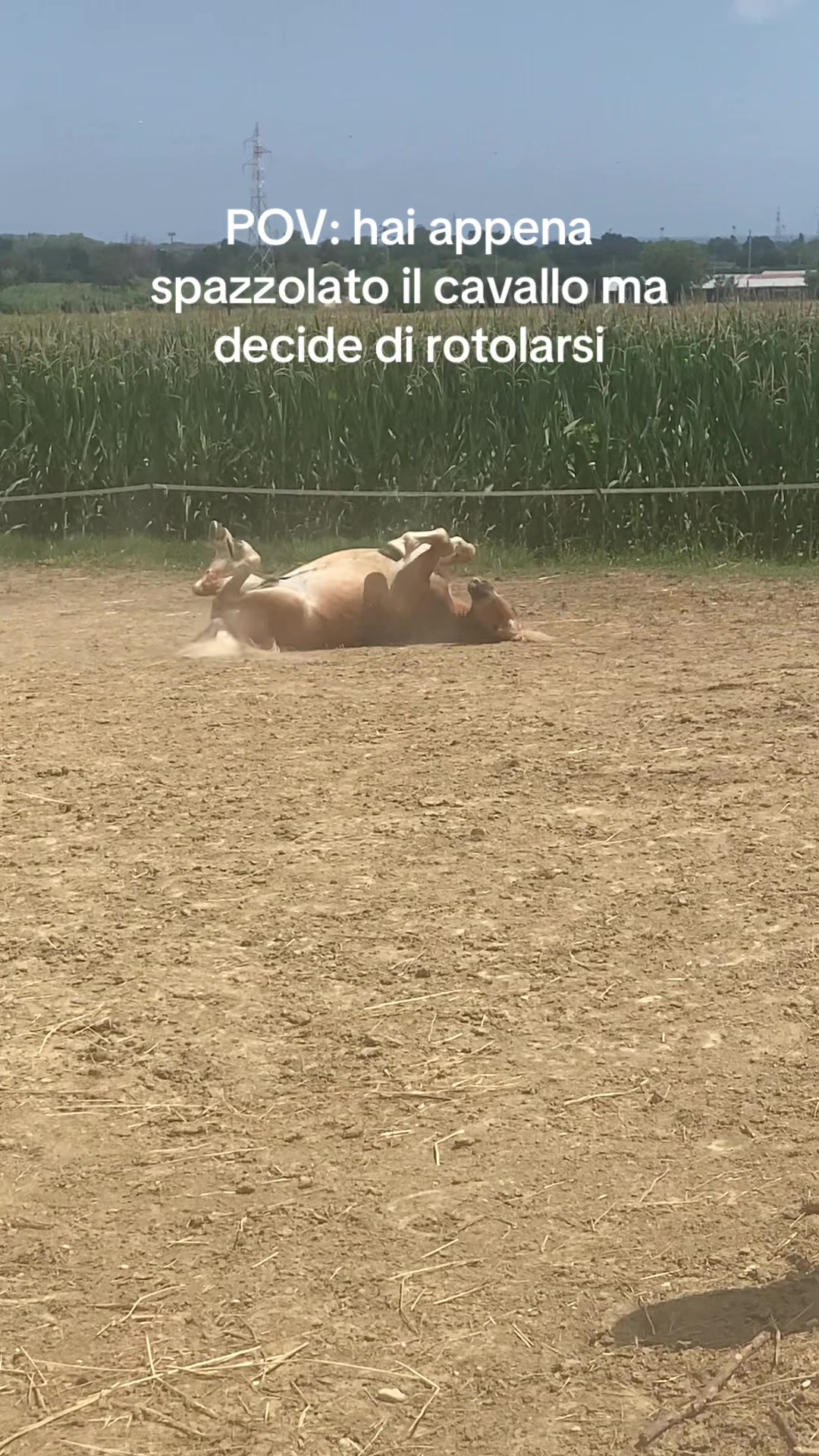 @Bea_28🪬