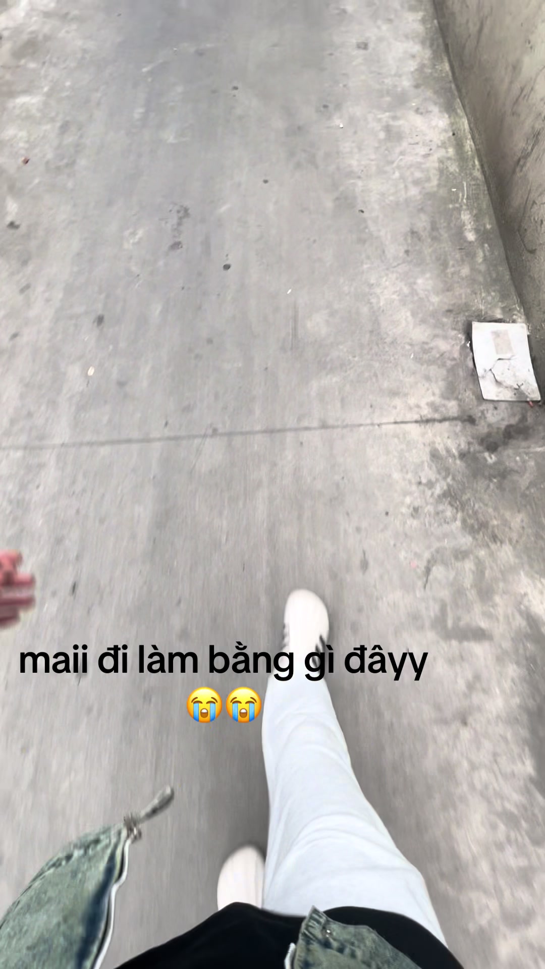 @tranh006