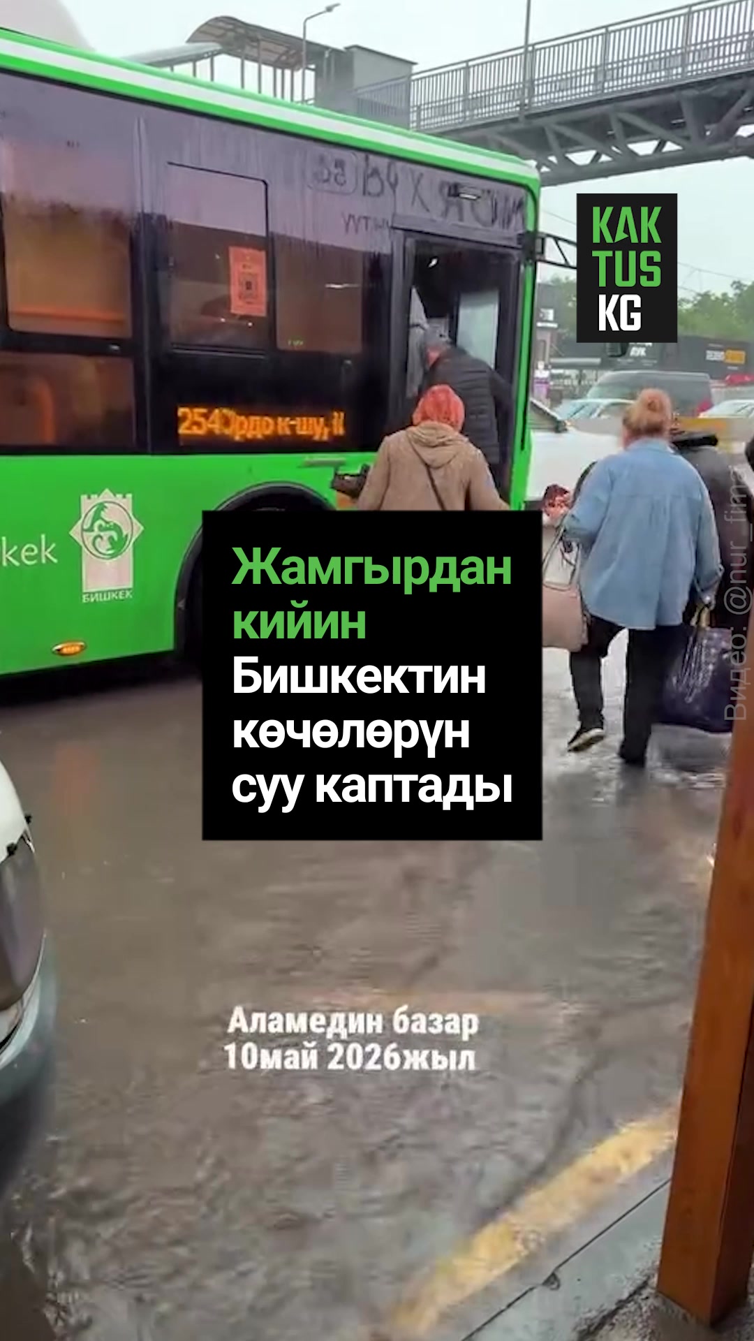@Kaktus KG