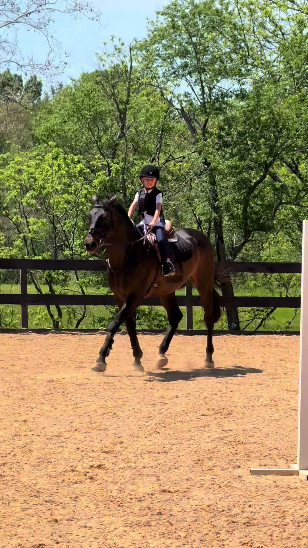@ckponies