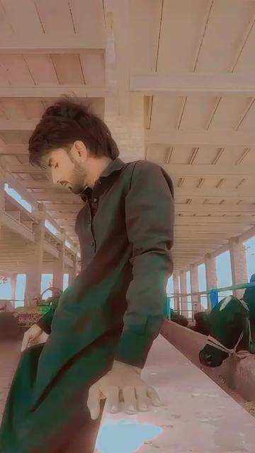 @Malik Dailwar