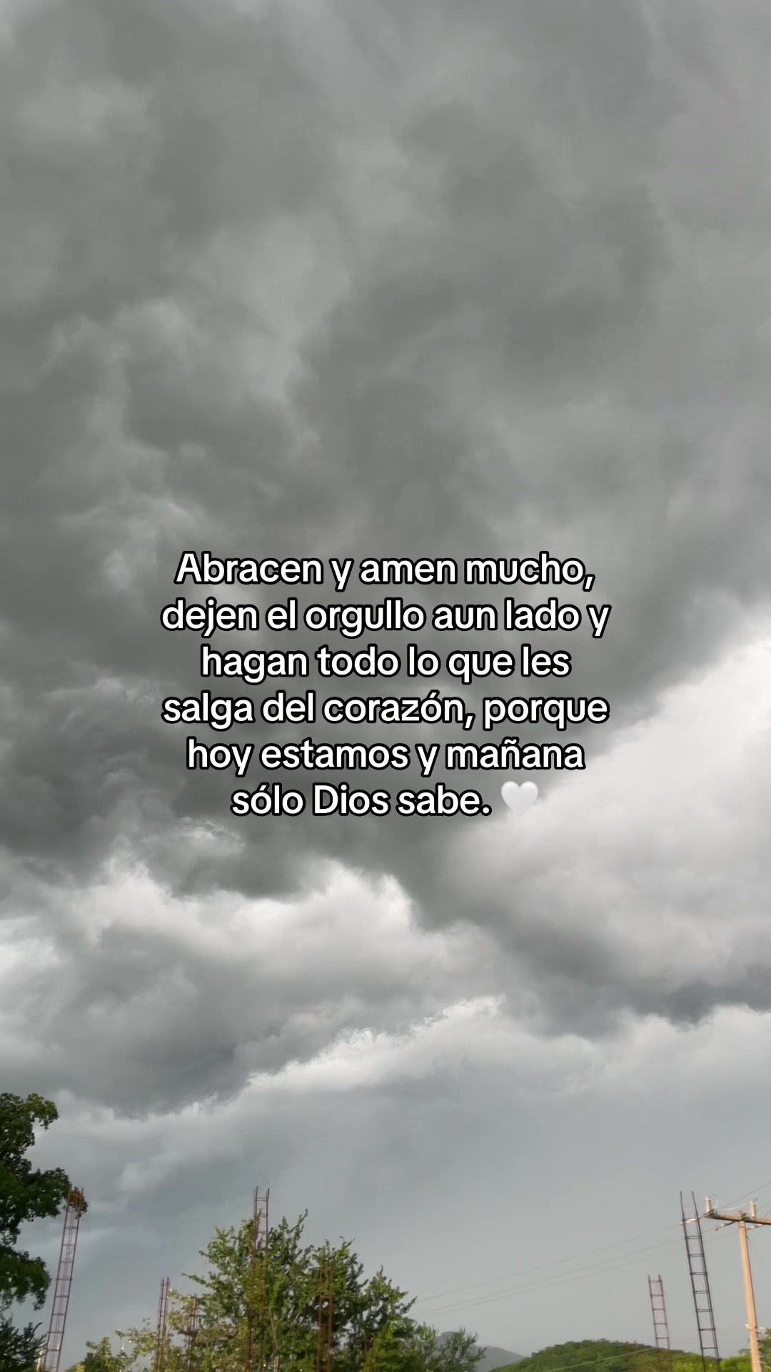 @Elarmdp16