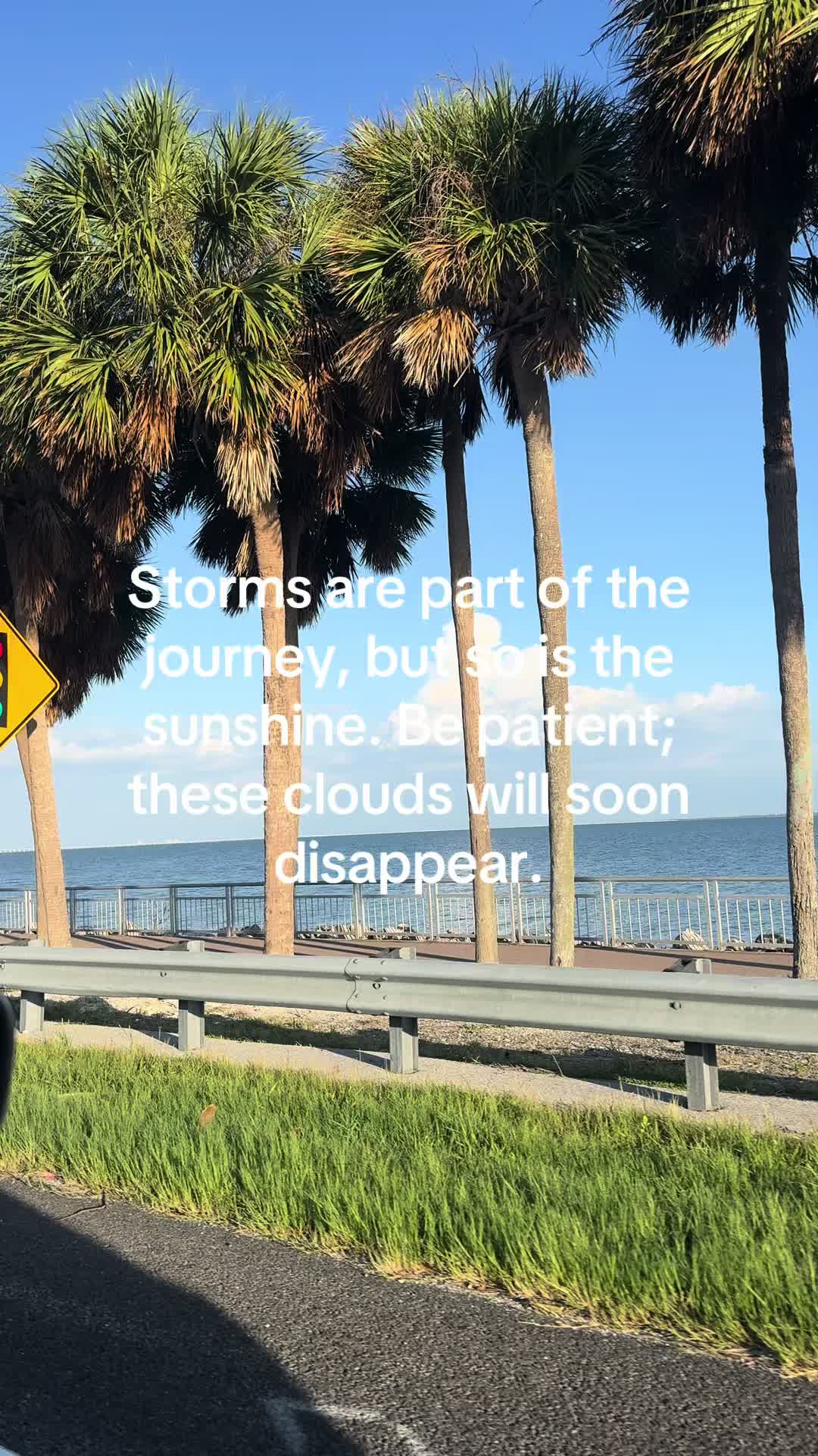 @Donna 🦋