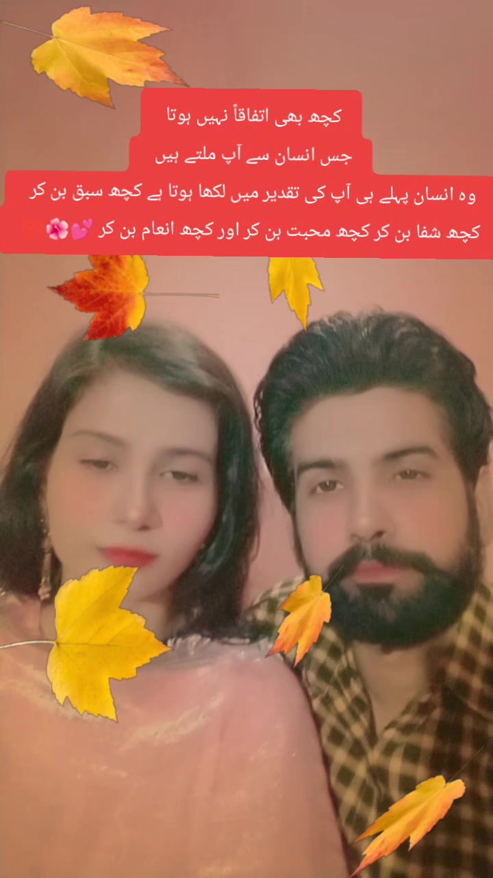 @Hibu tiktok