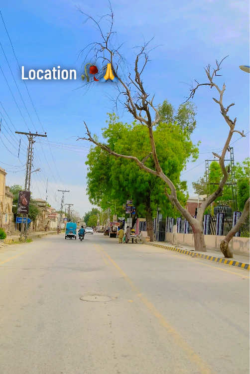 @Khairpur Mirs