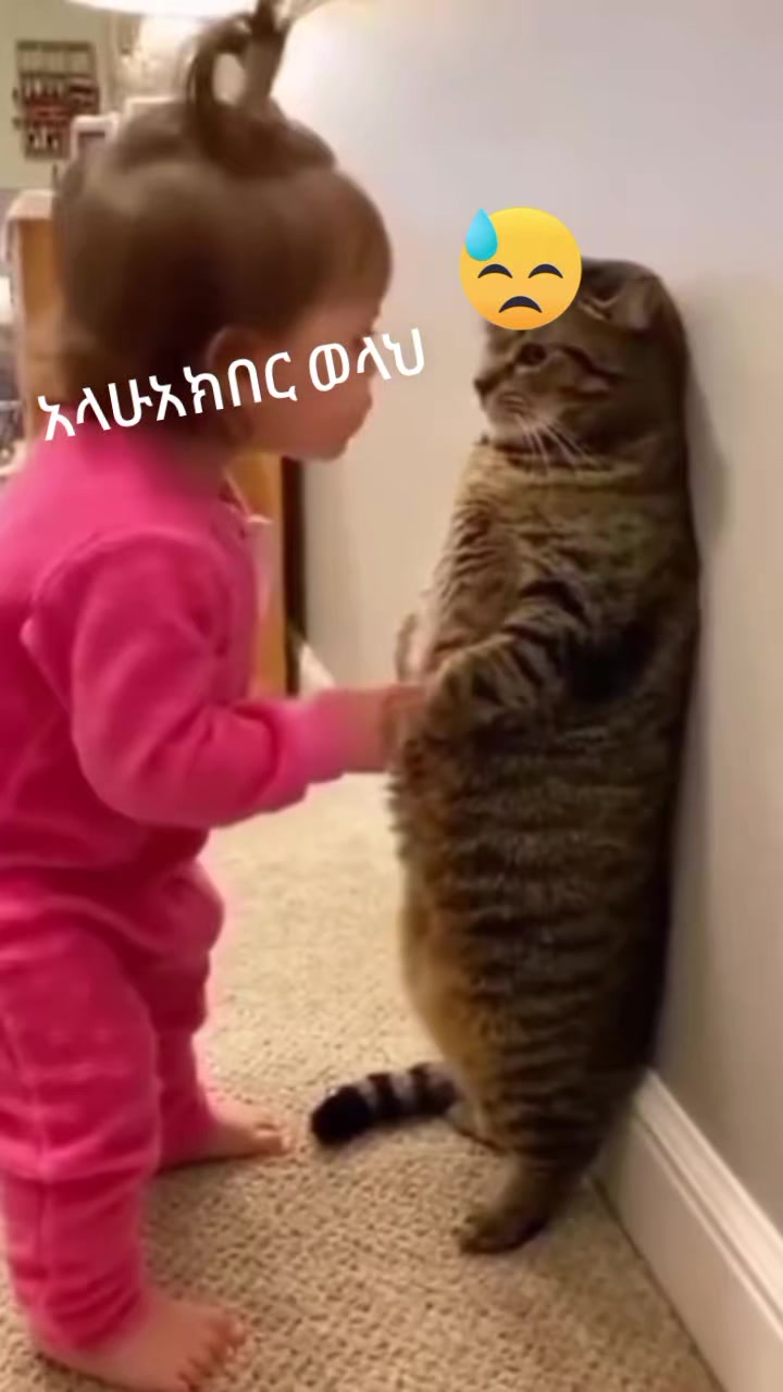 @@ sofy💚