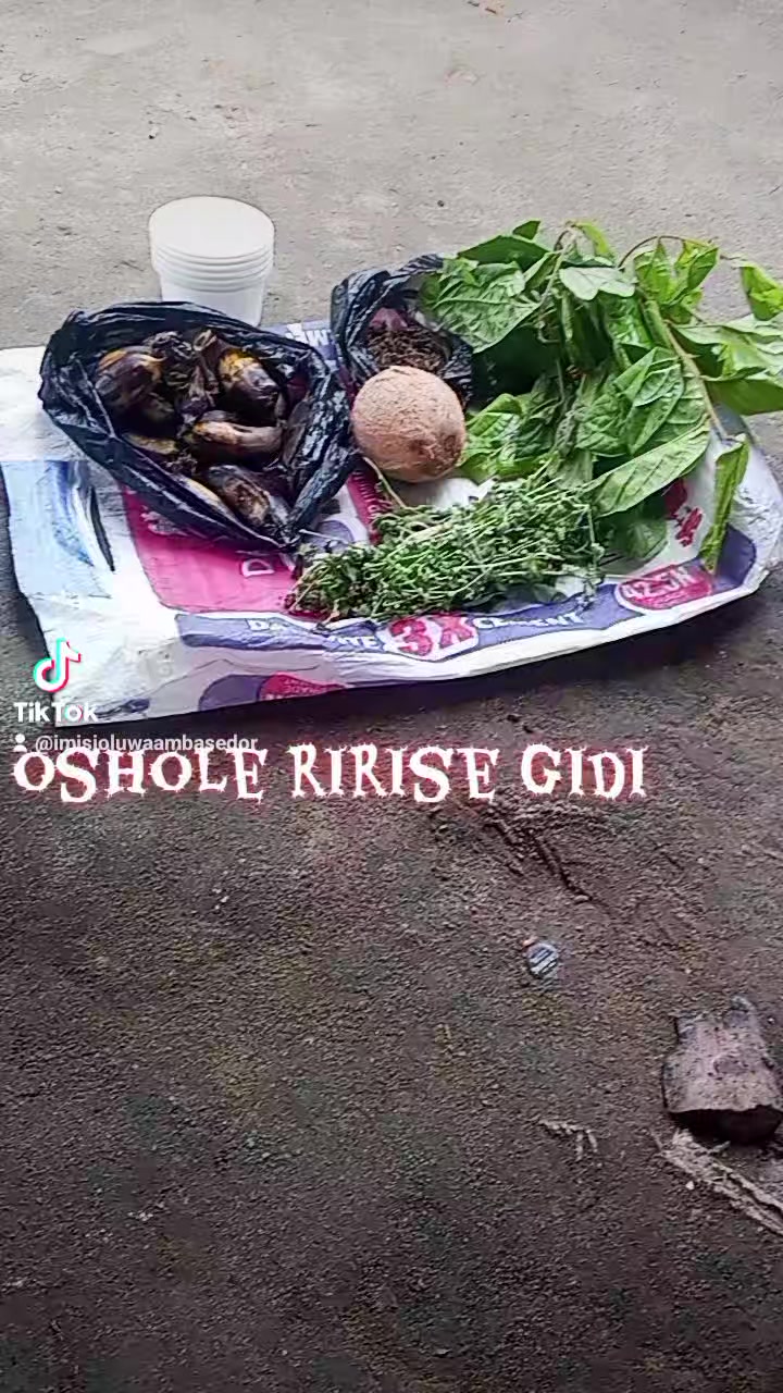 @oba ijinle ogbon agba