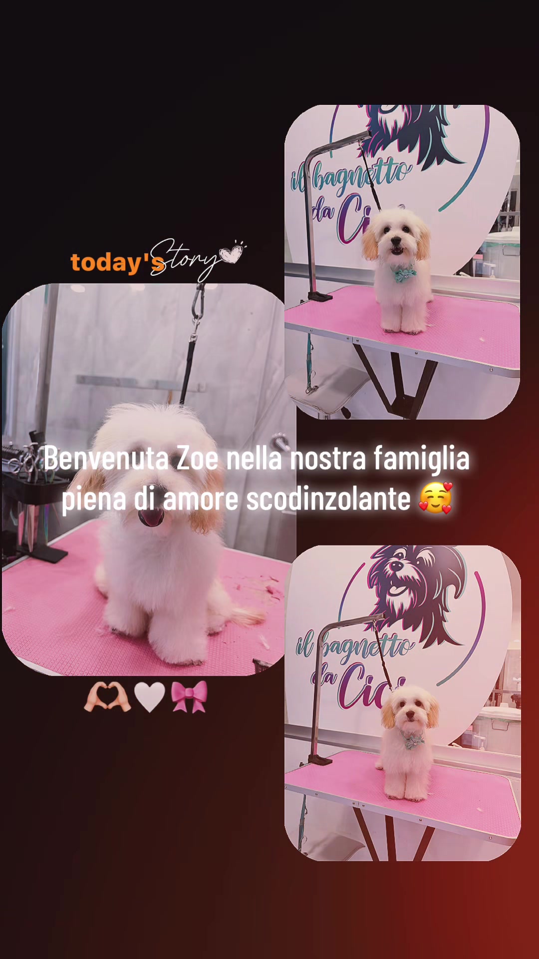 @Il bagnetto da Cici