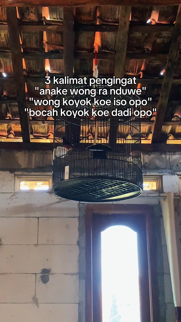 @Putrii mita