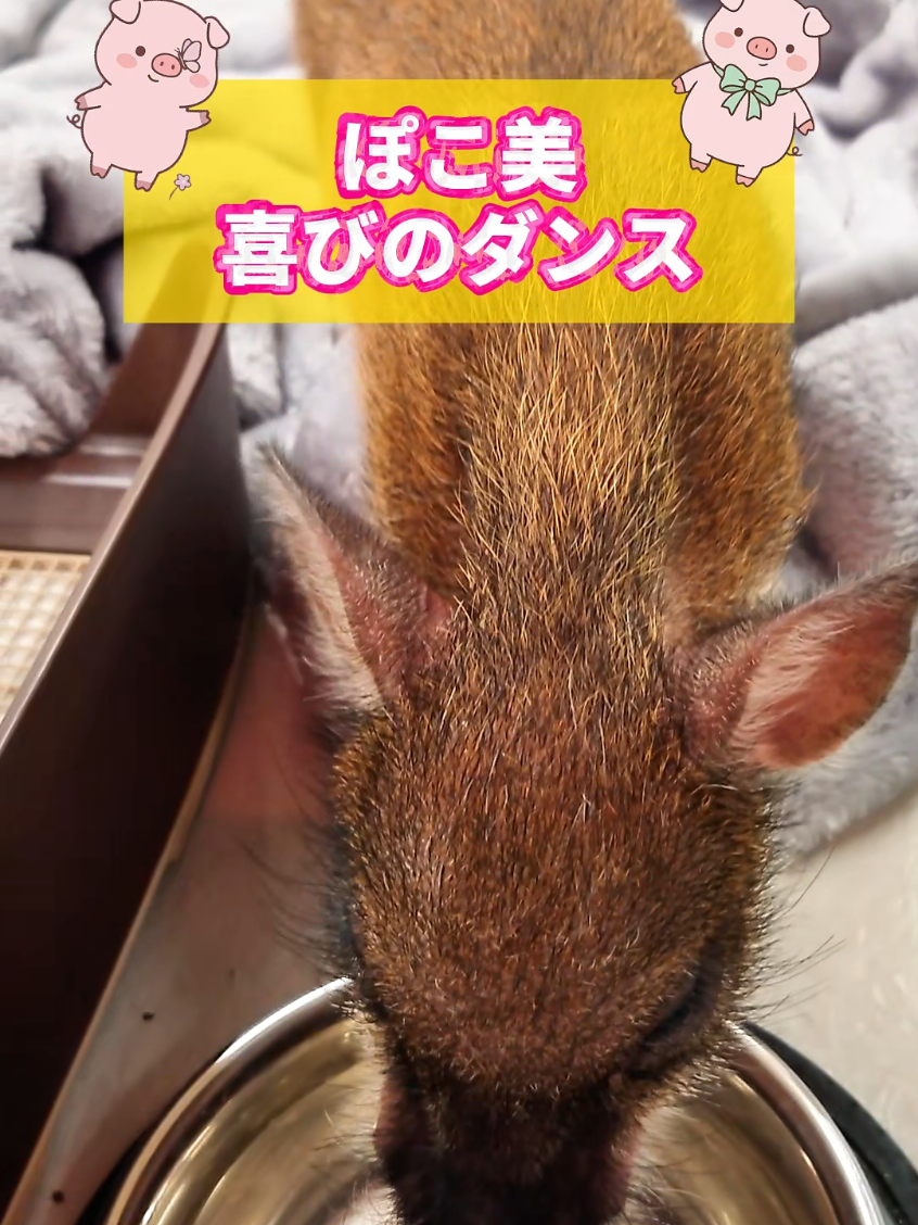 @TCA東京ECO動物海洋専門学校