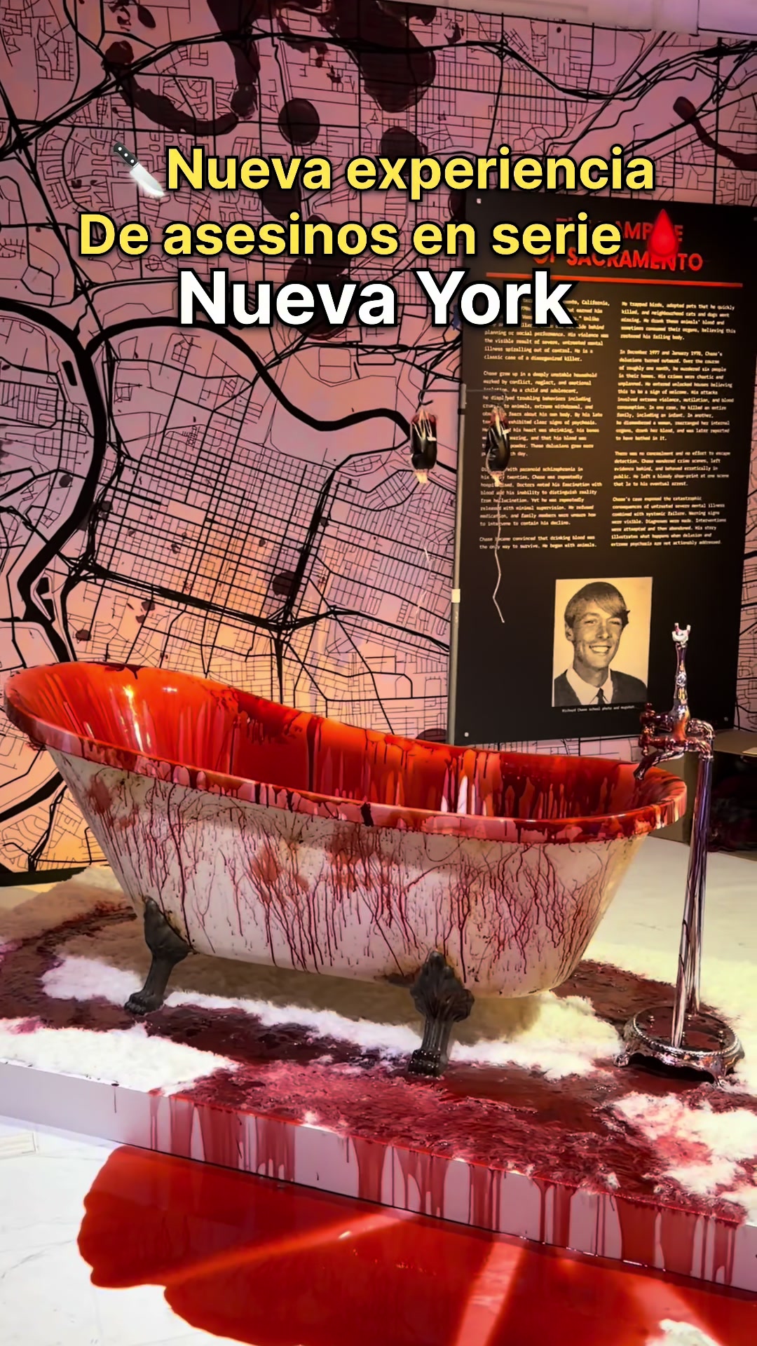 @Camilo Núñez