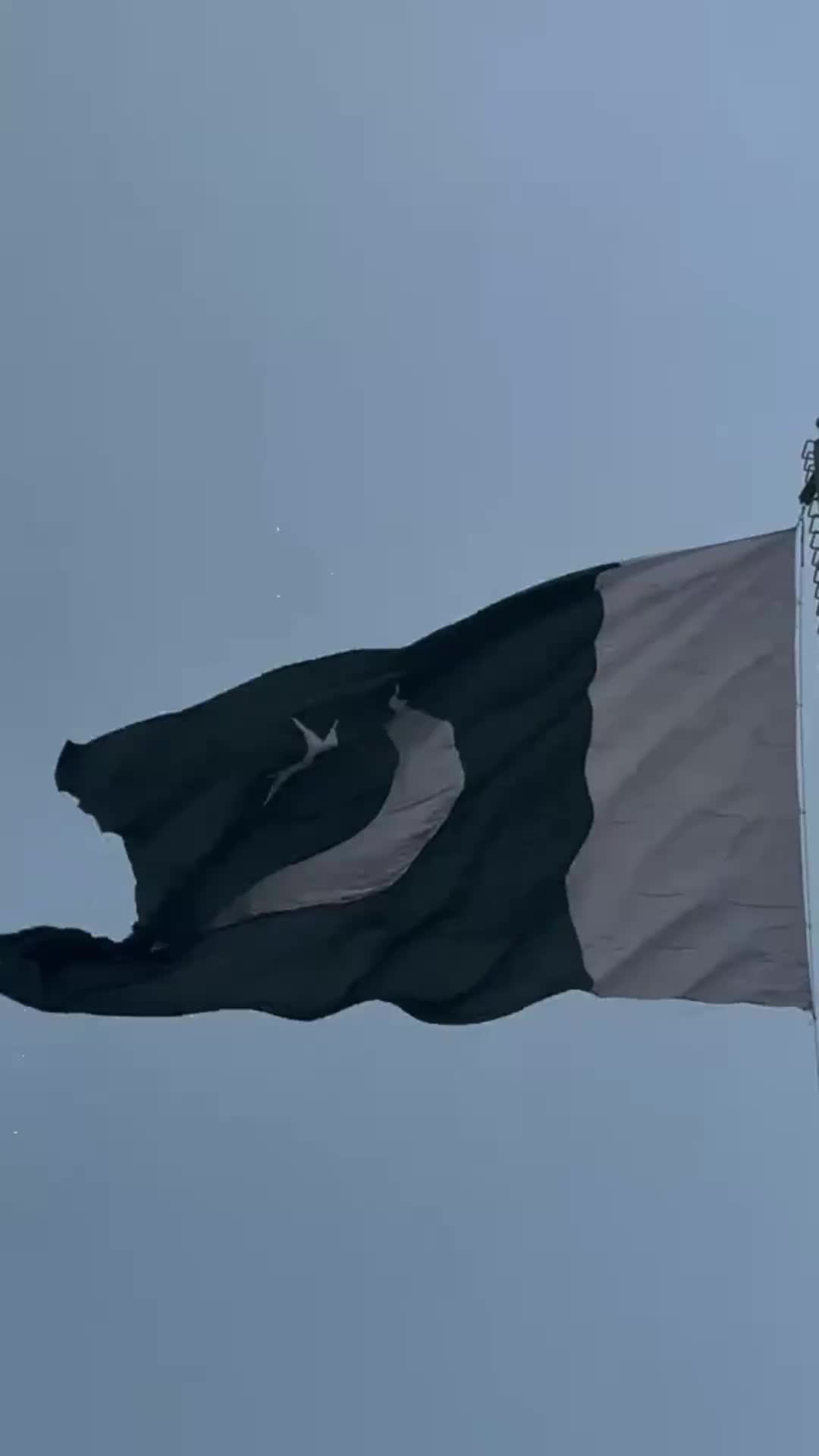 @𝗛𝗮𝗿𝗿𝘆