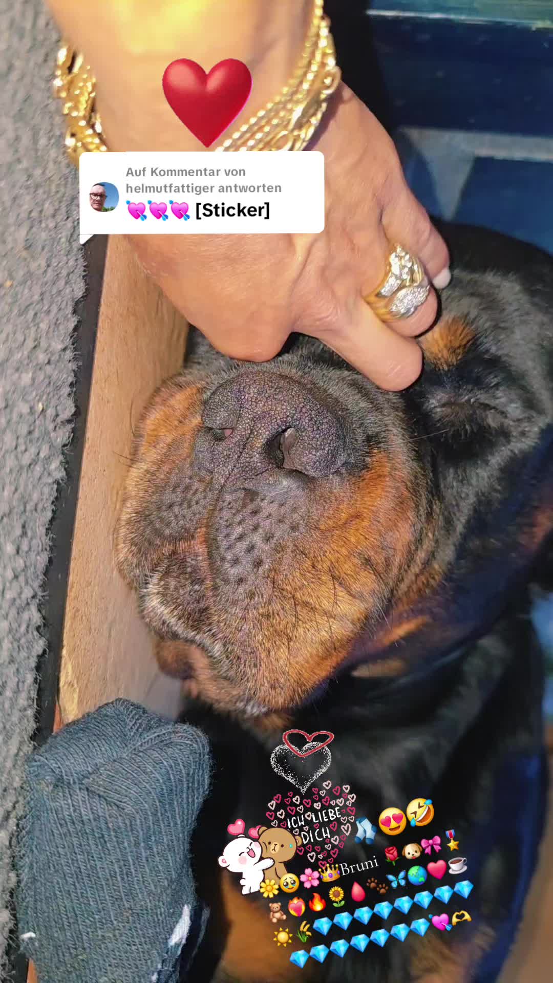 @Rottweiler Bruno