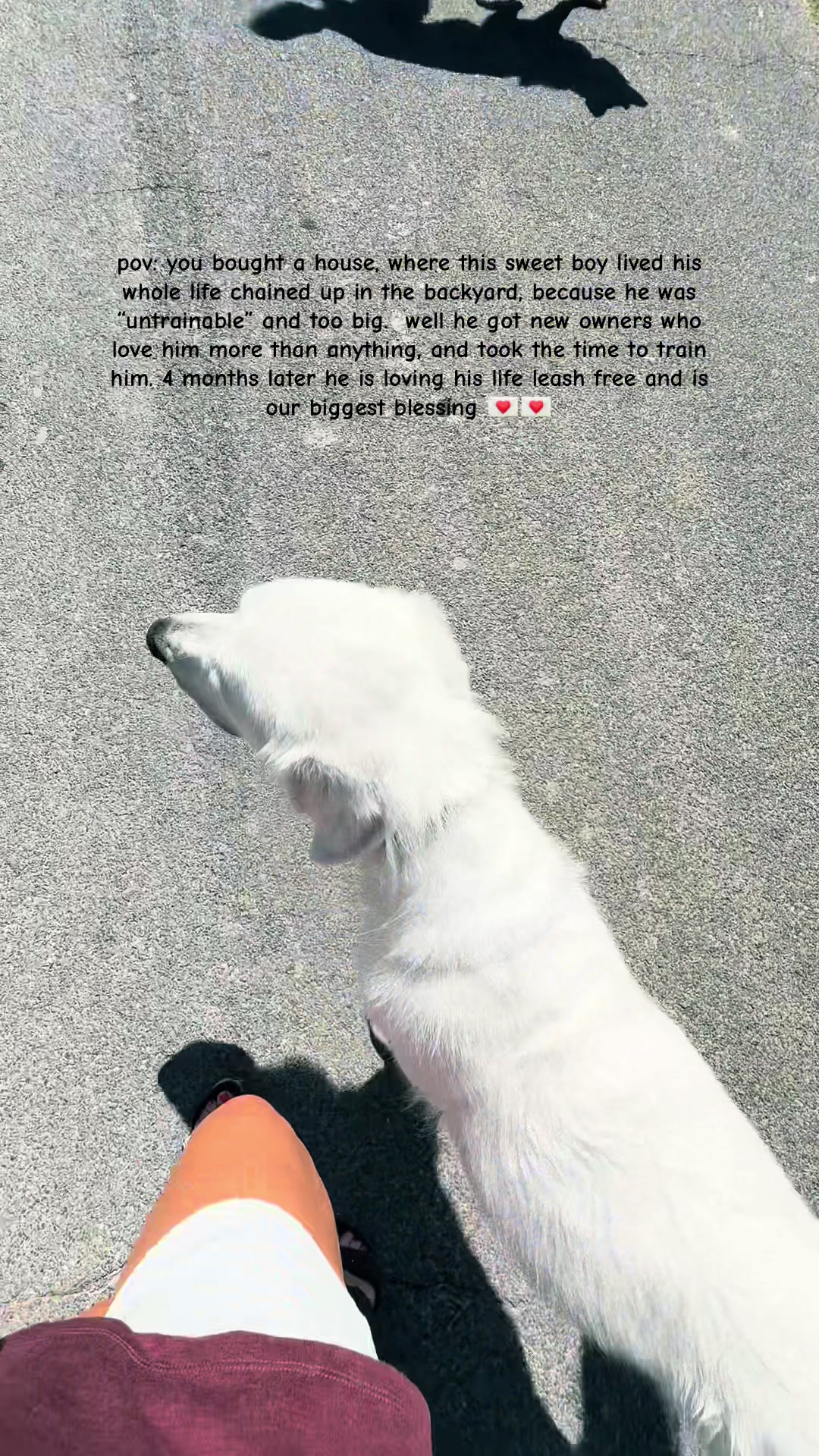 @T R I S T A