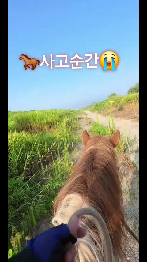 @❤️8월28일 1주년🎉❤️말타는피부원장🐎김미애🐎