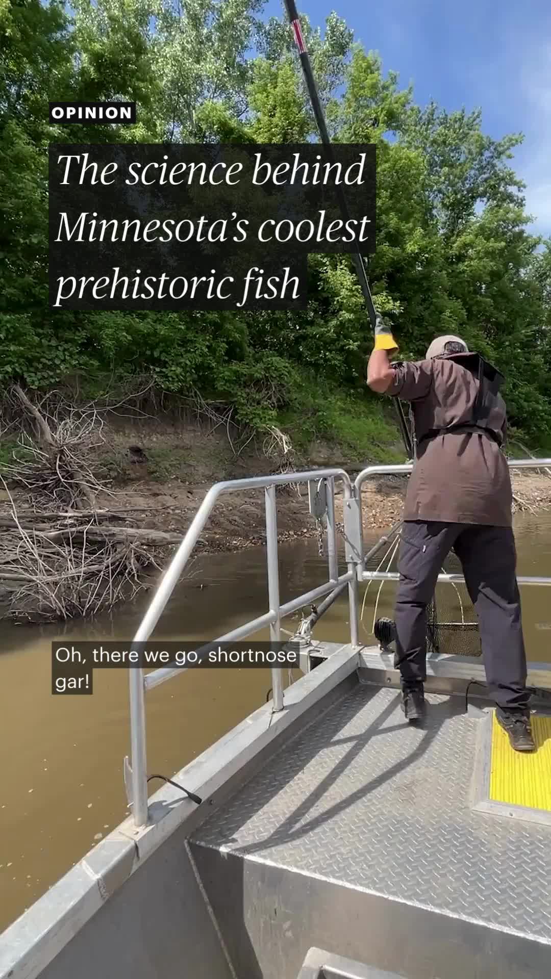 @Minnesota Star Tribune