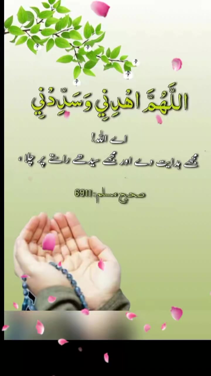 @Dua fatima