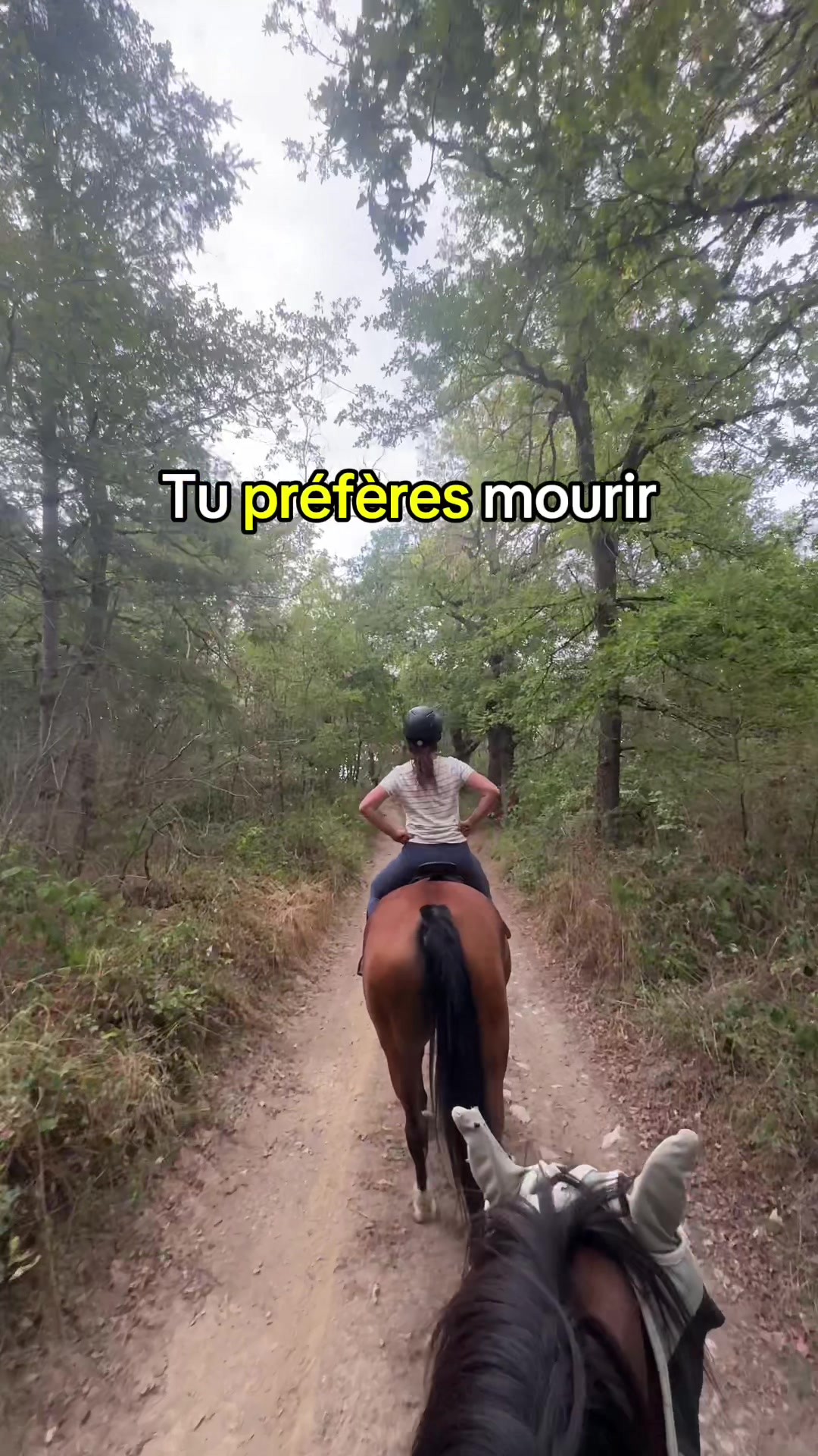@Seren the pony ๐ด