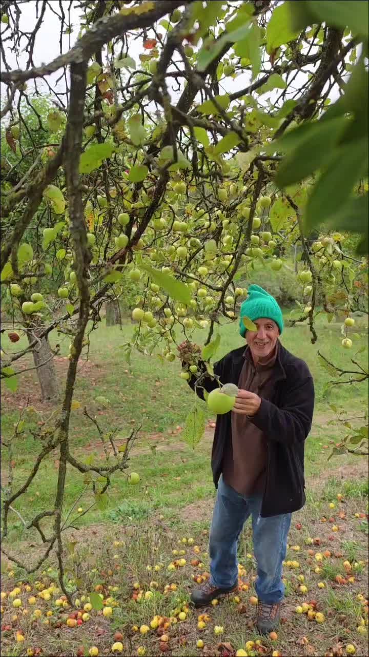 @Minir Sadiku Firajës