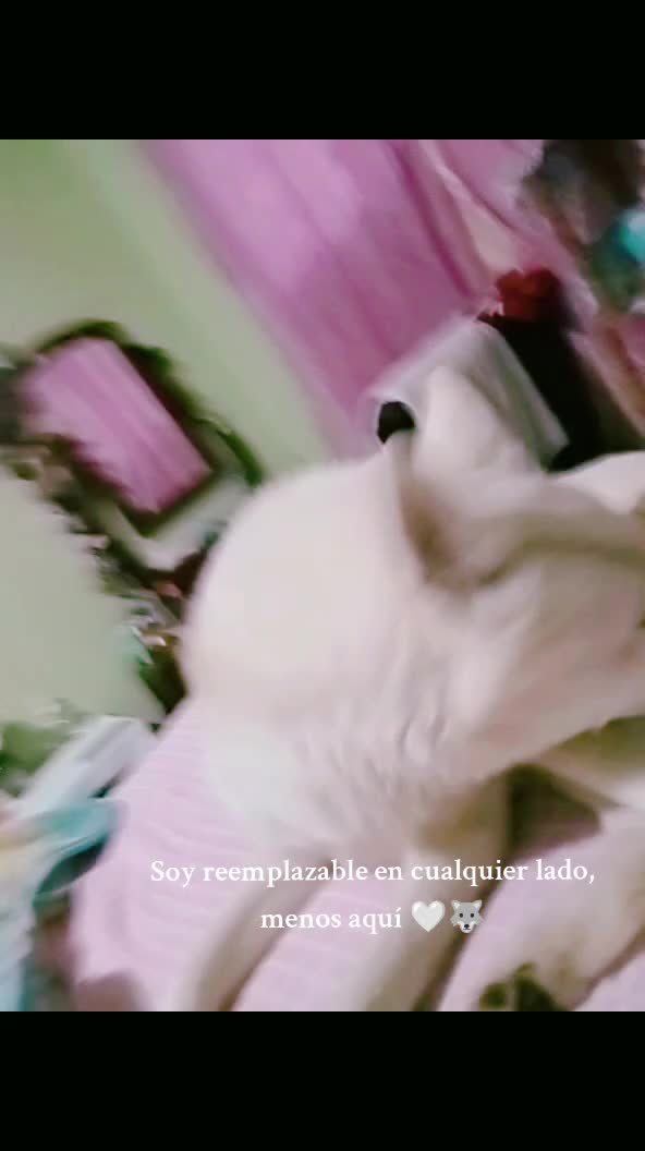 @Estela.