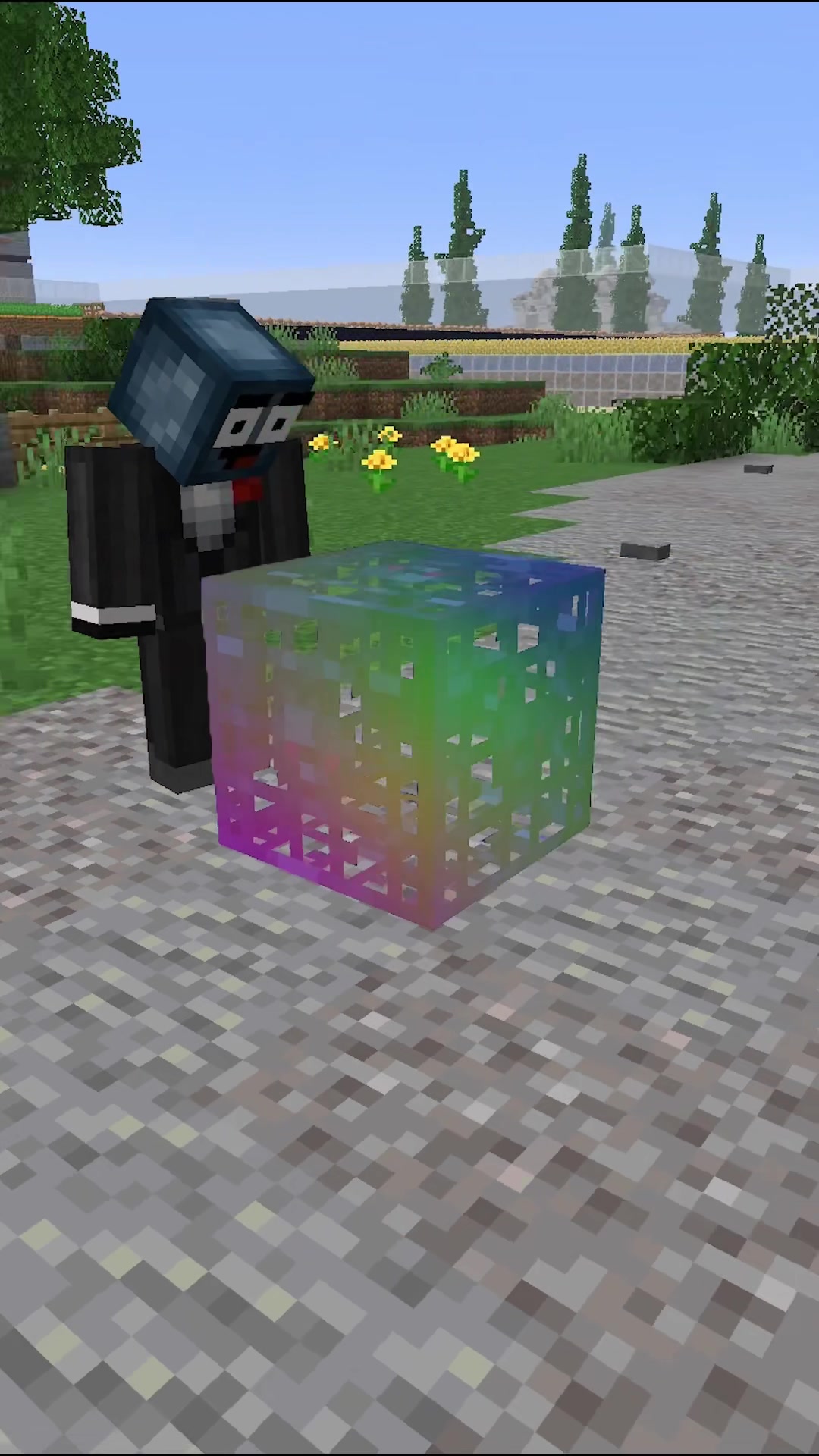@im a squid kid