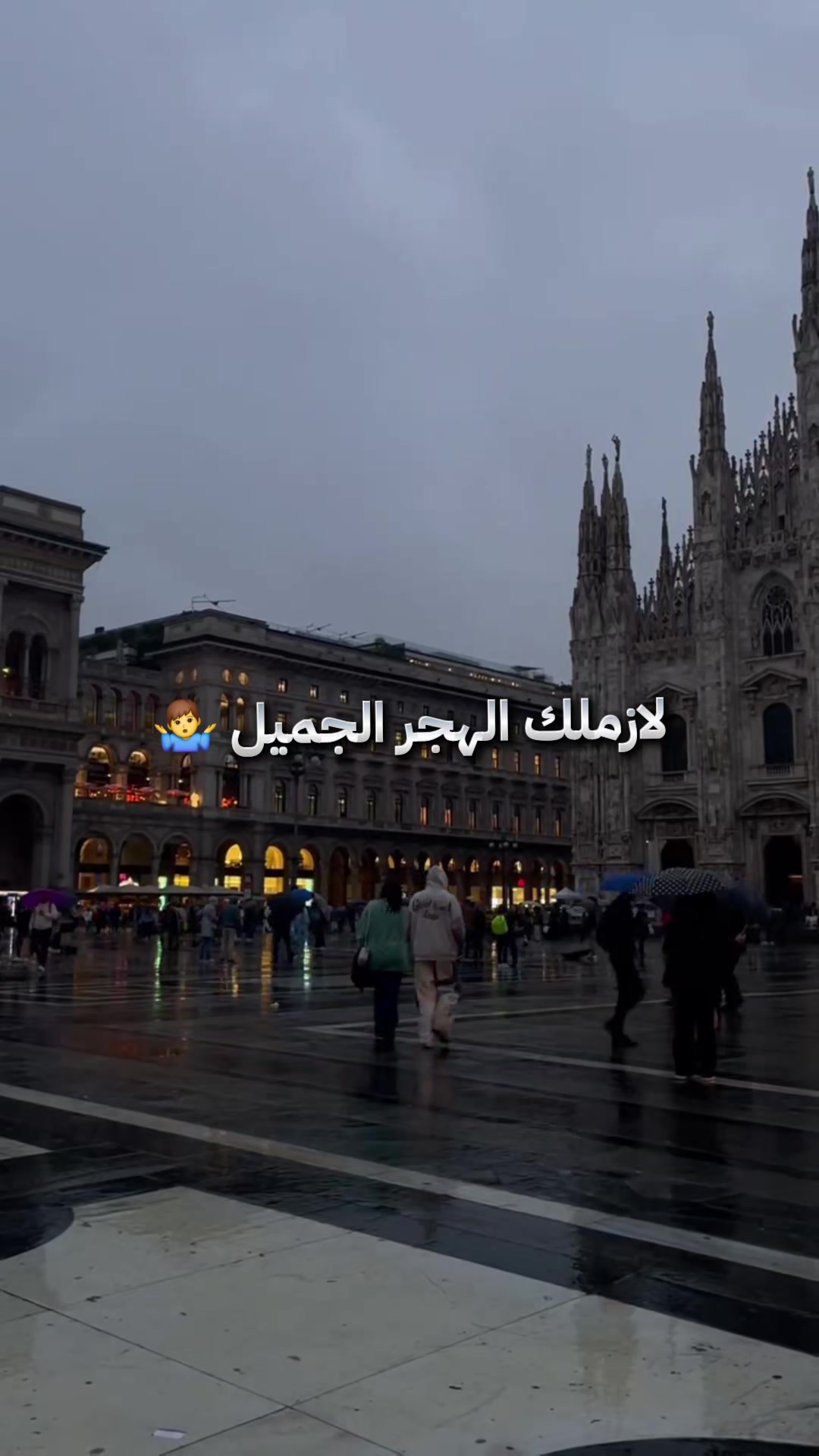 @🌍 muhajir 🌏