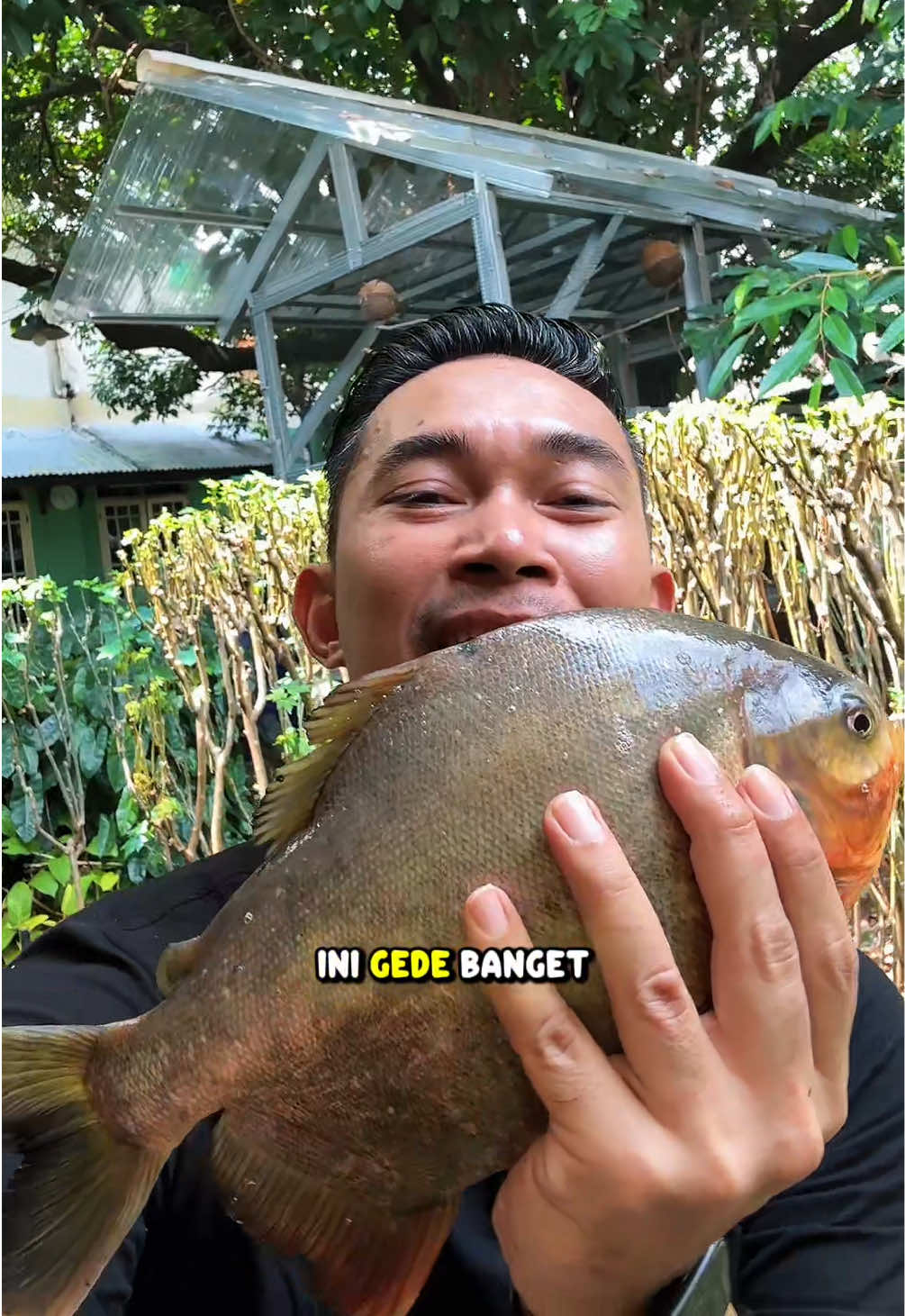 @NilaKu ID