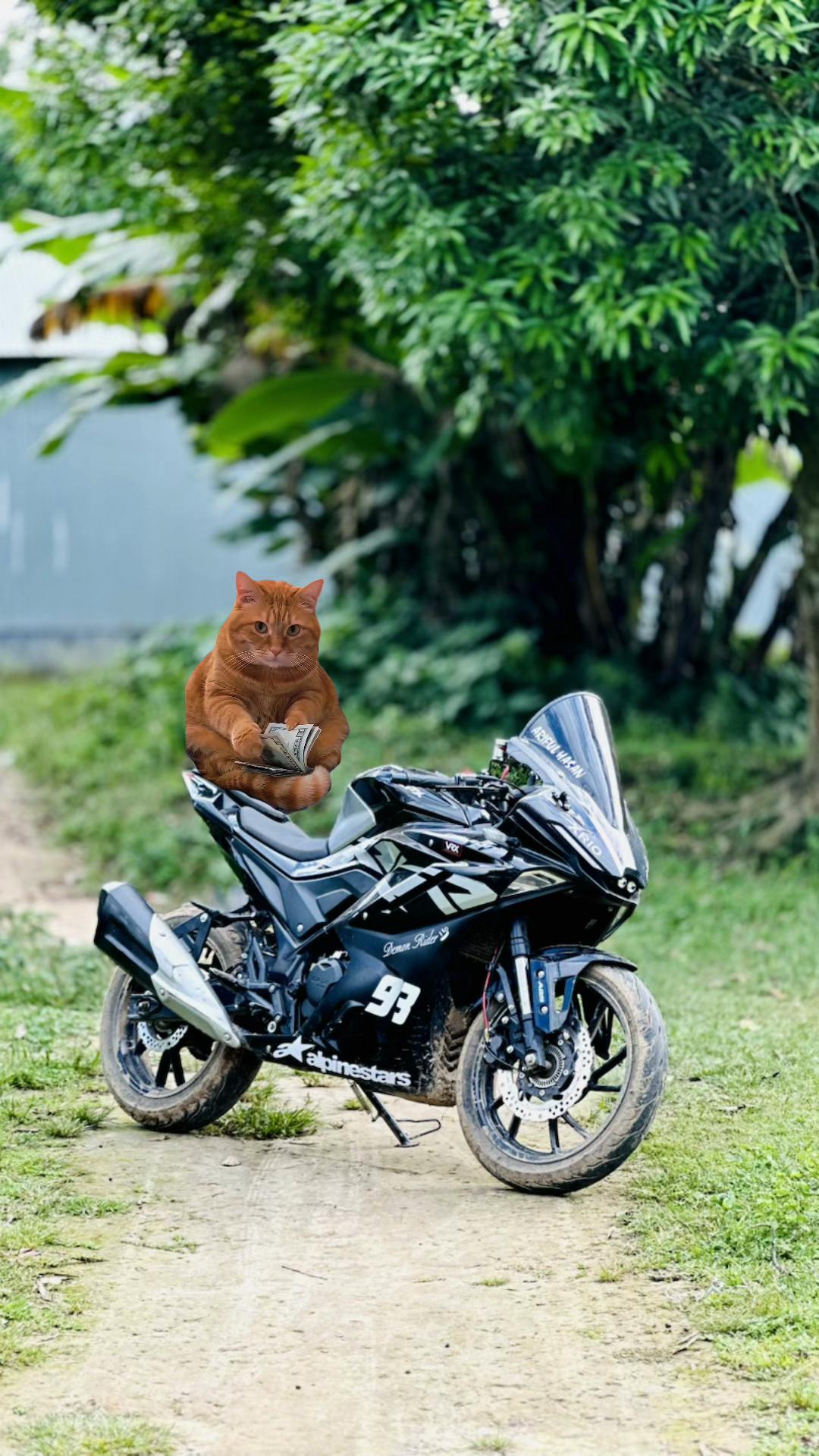 @𝒟ℯ𝓂ℴ𝓃 ℛ𝒾𝒹ℯ𝓇 シ゚