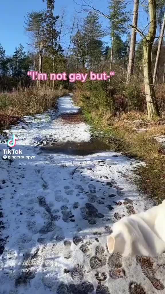 @gingerpuppyx
