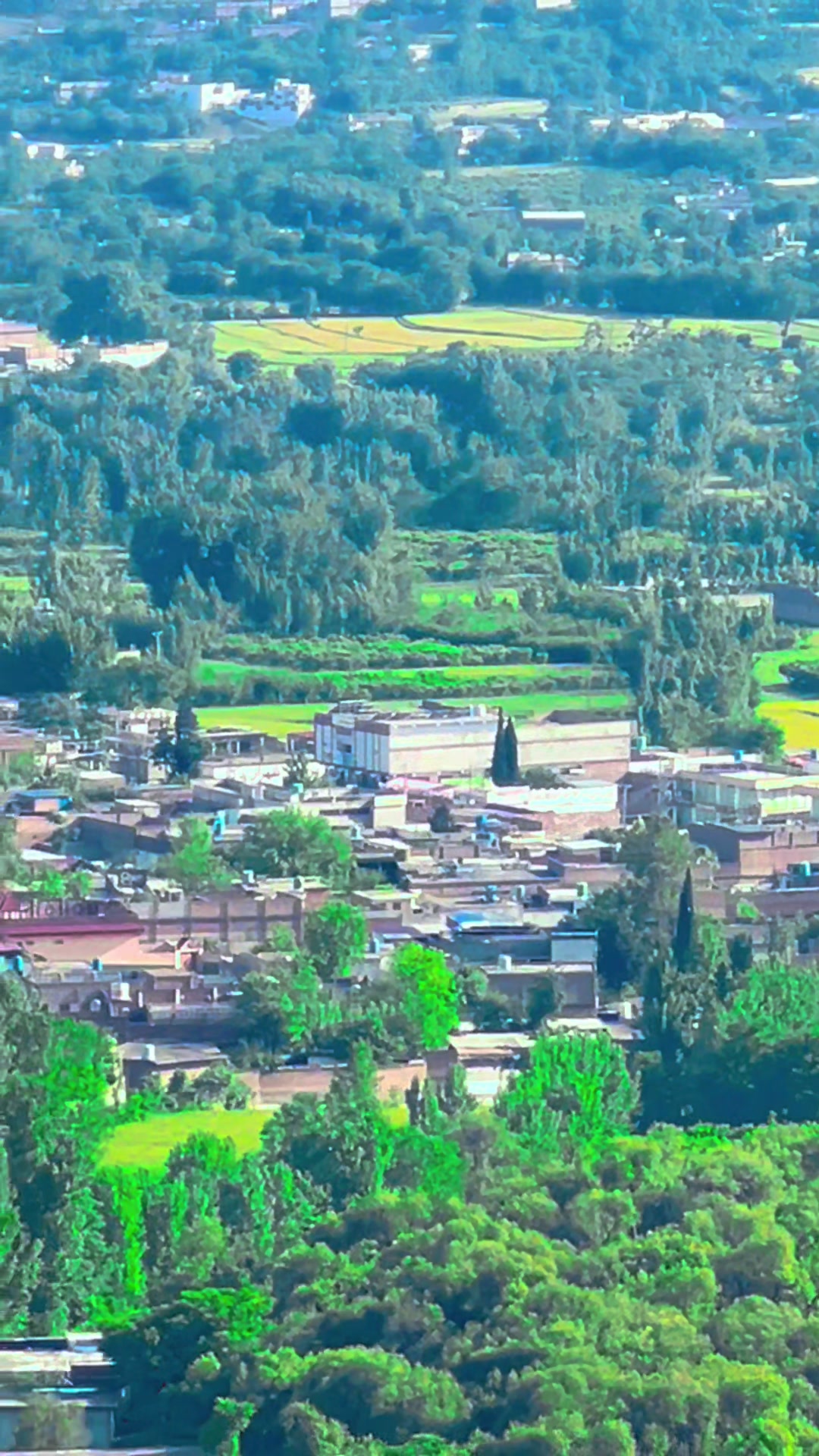 @غرسنے 🇦🇬