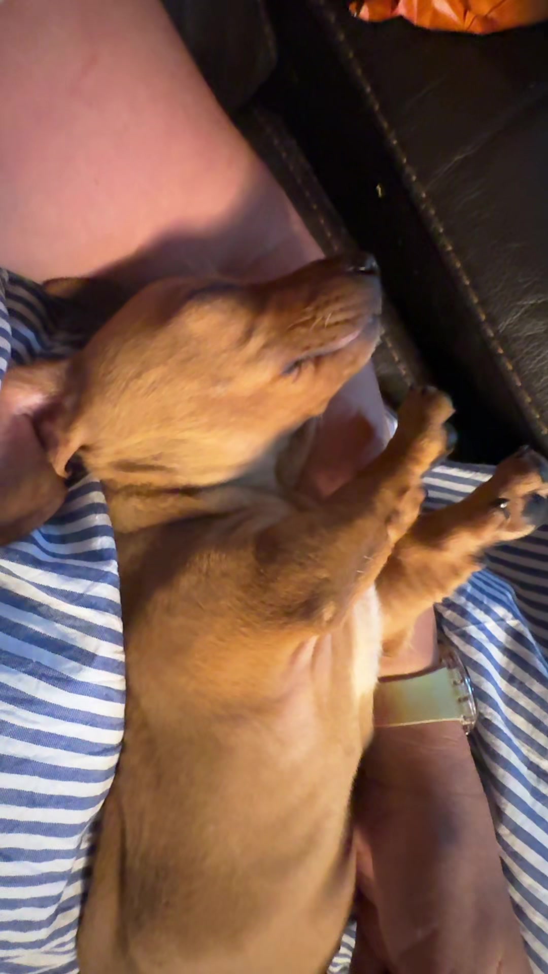@Mandy