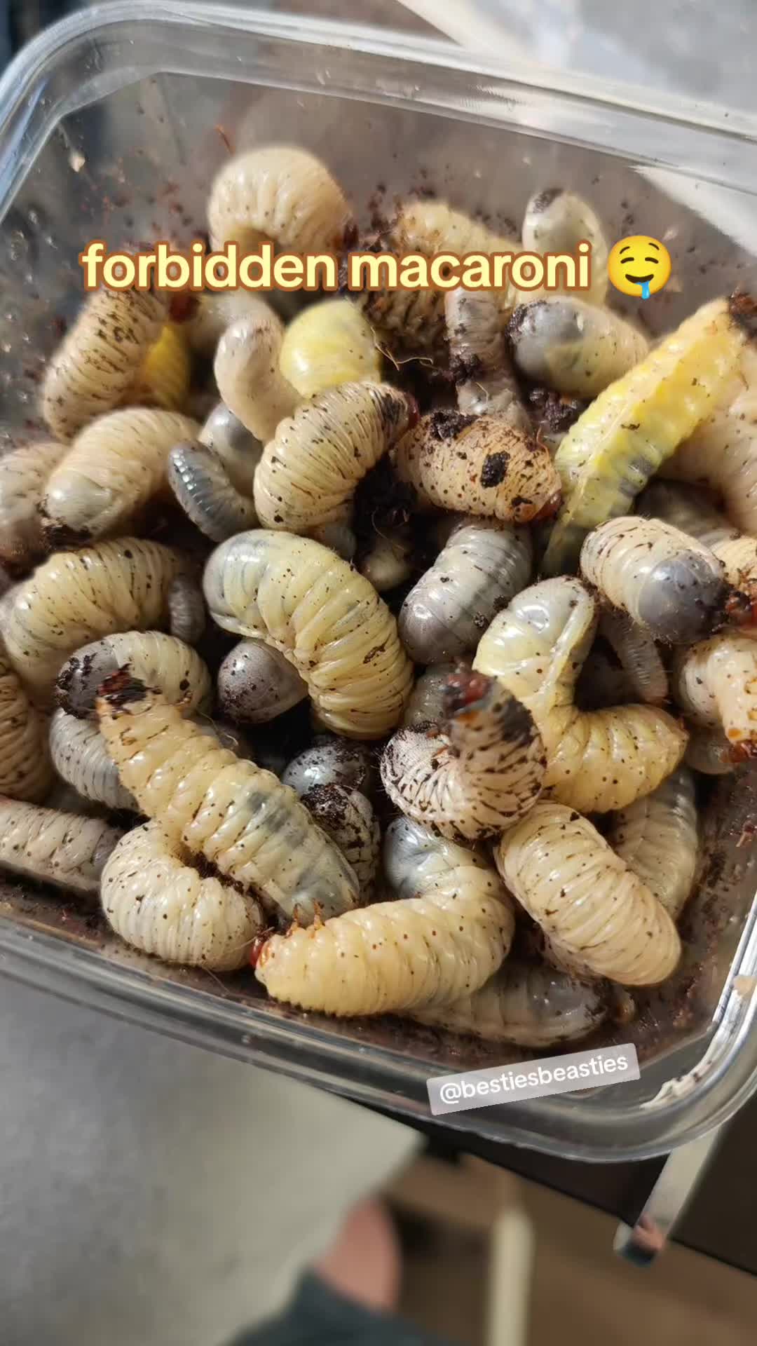 @Bestiesbeasties