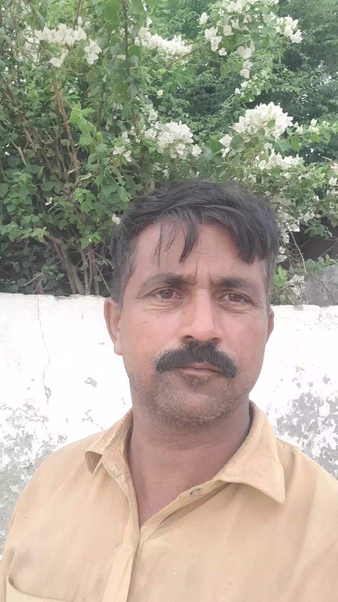 @Muhammad Saleem