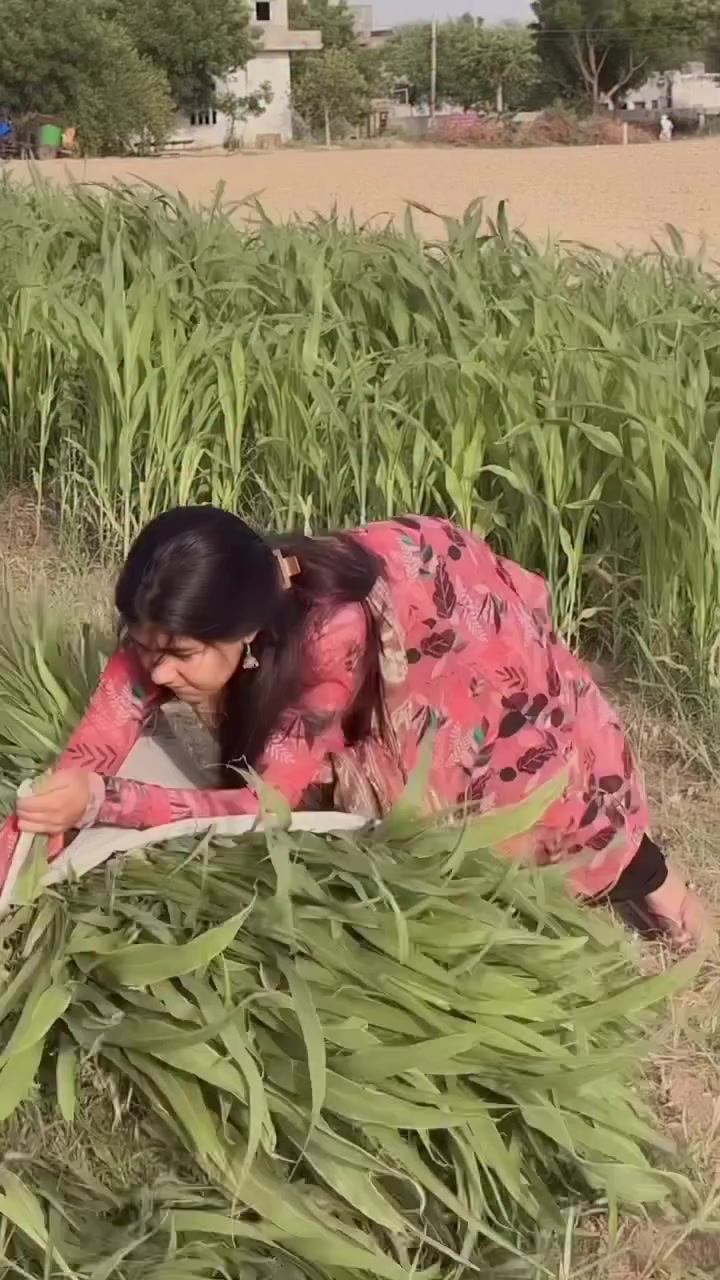 @🙏🪯❤️SANDHU❤️MALWA❤️🪯🙏