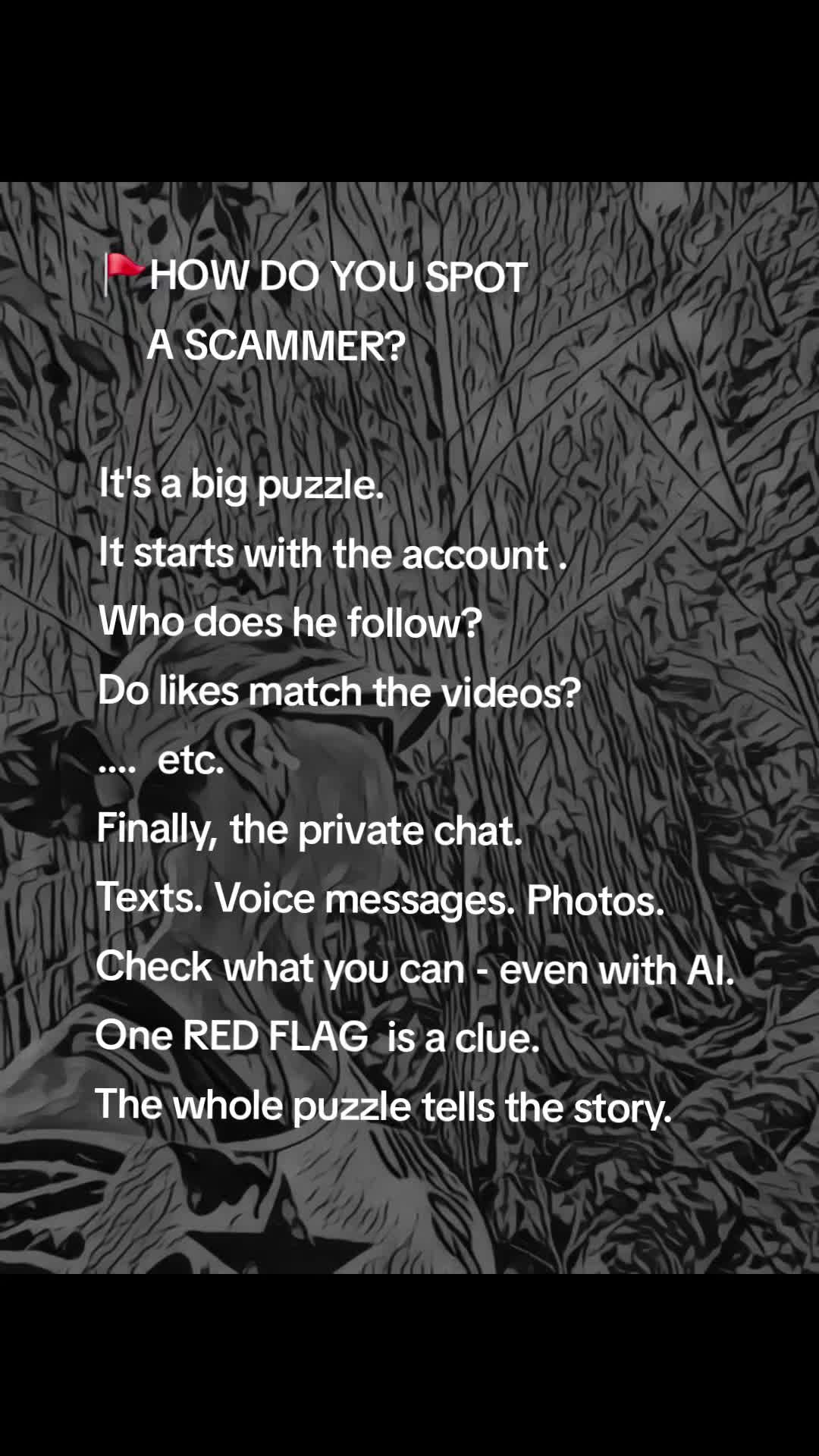 @ScammerHunter