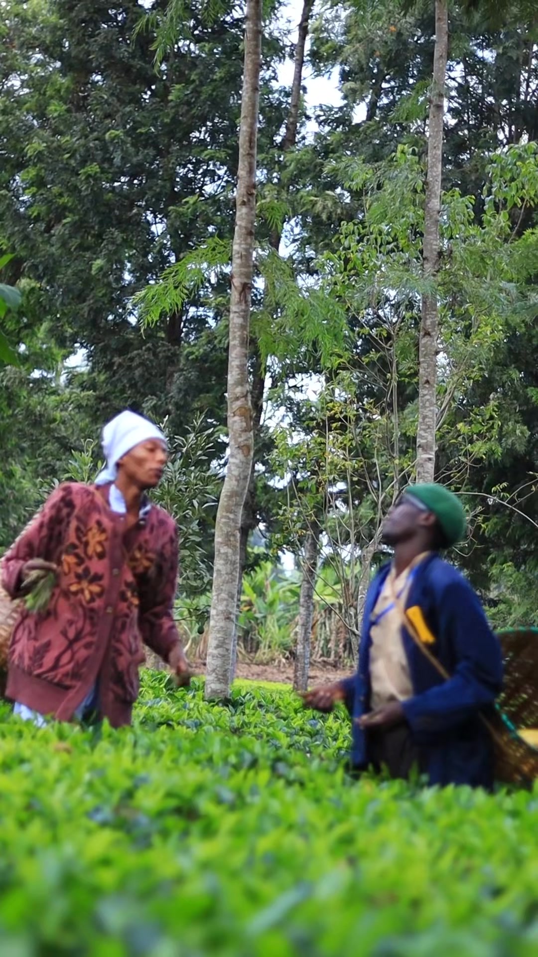 @DOROKAZI WA EMBU (NESH KENYA)