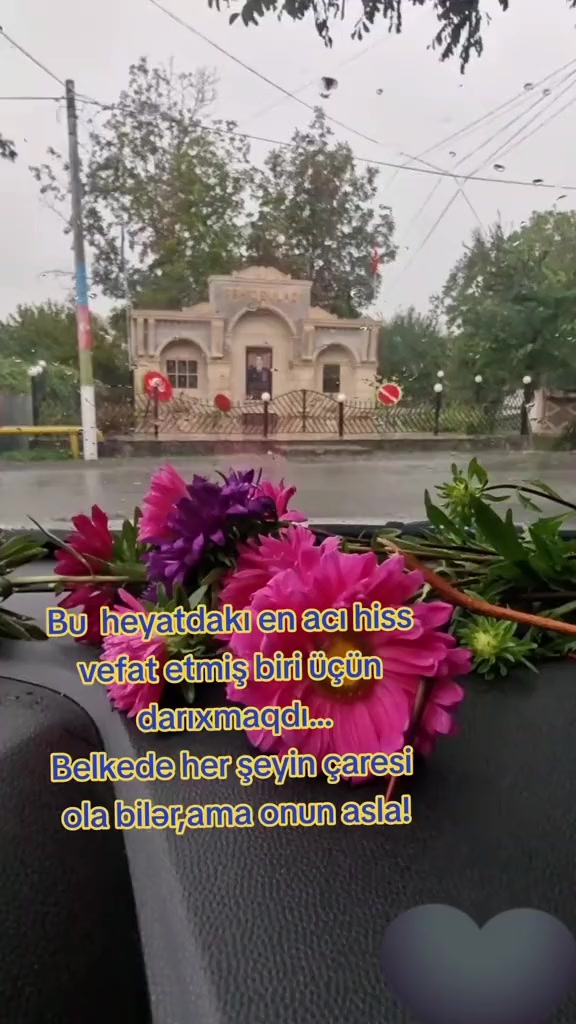 @XTQ şehid_behruzabusov_mehman