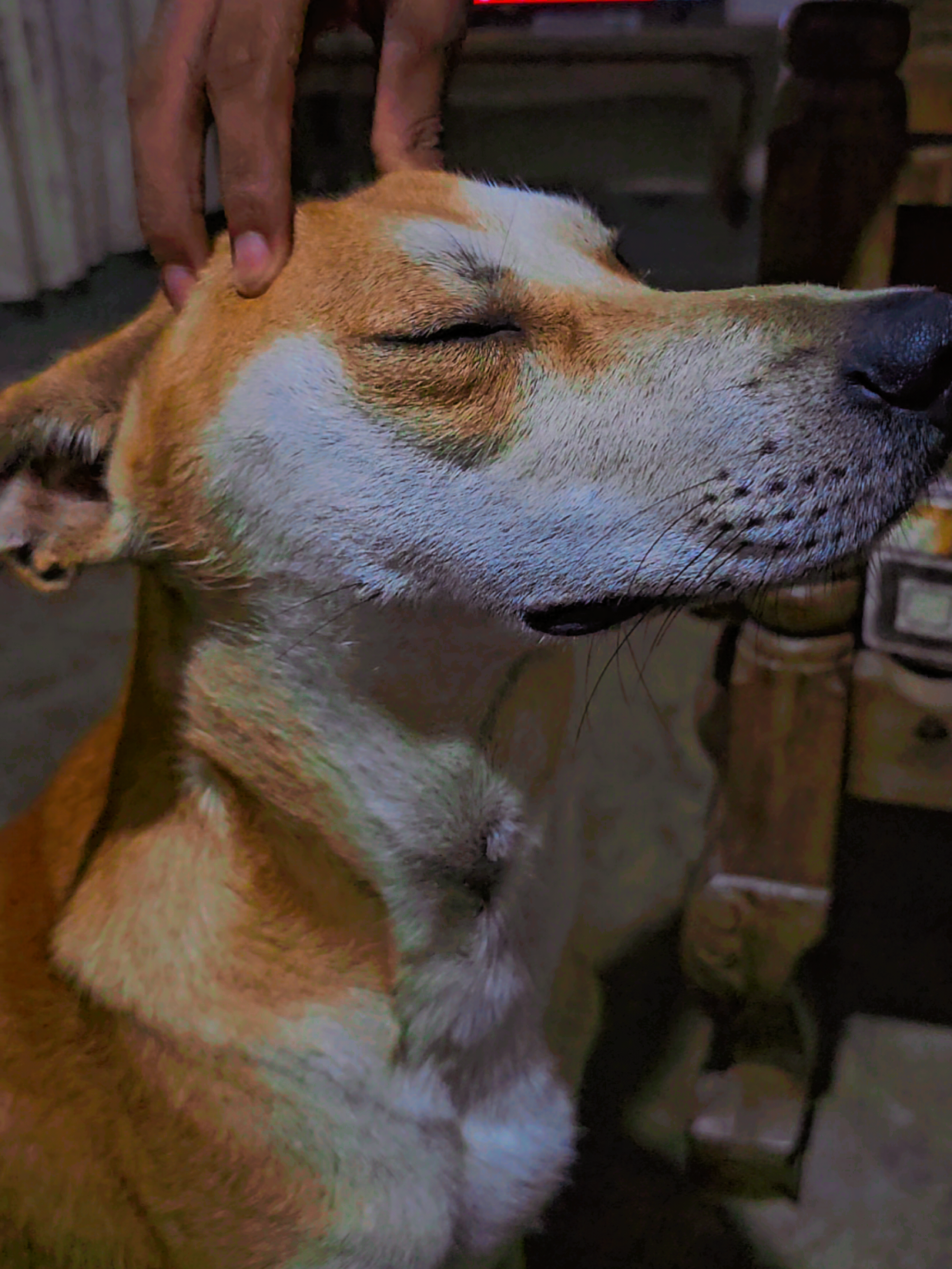 @𝗙𝗔𝗥𝗠 𝗪𝗜𝗡𝗚𝗦