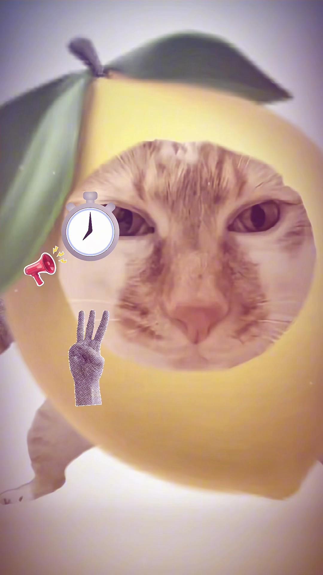 @…?<>