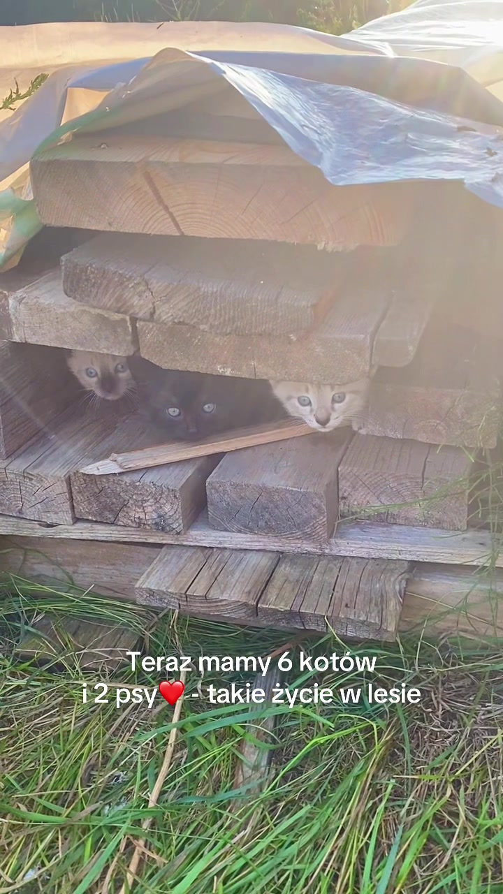@Anna Krasucka | Pięć Smak&oacute;w