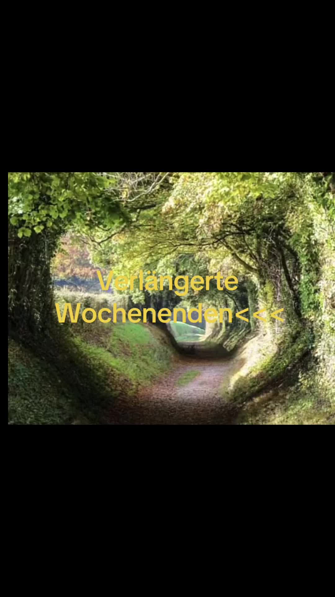 @Schlennert