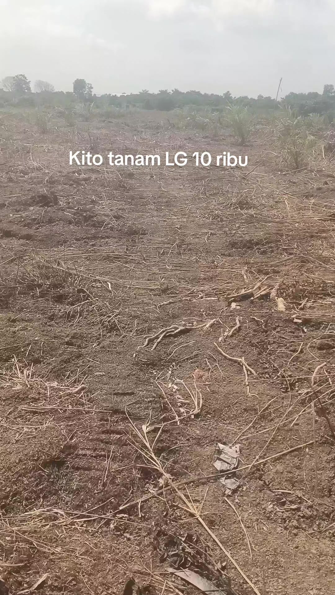 @tuan muda4605