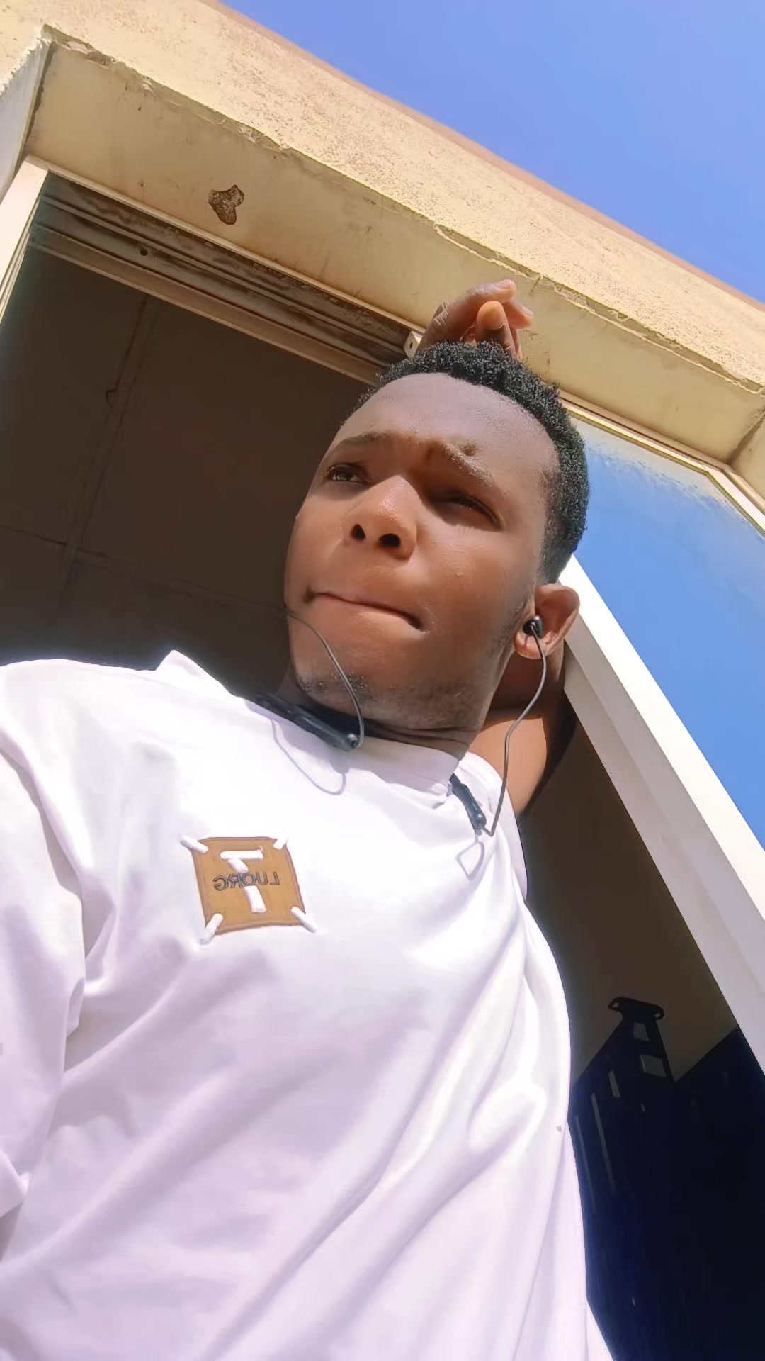 @ibravox