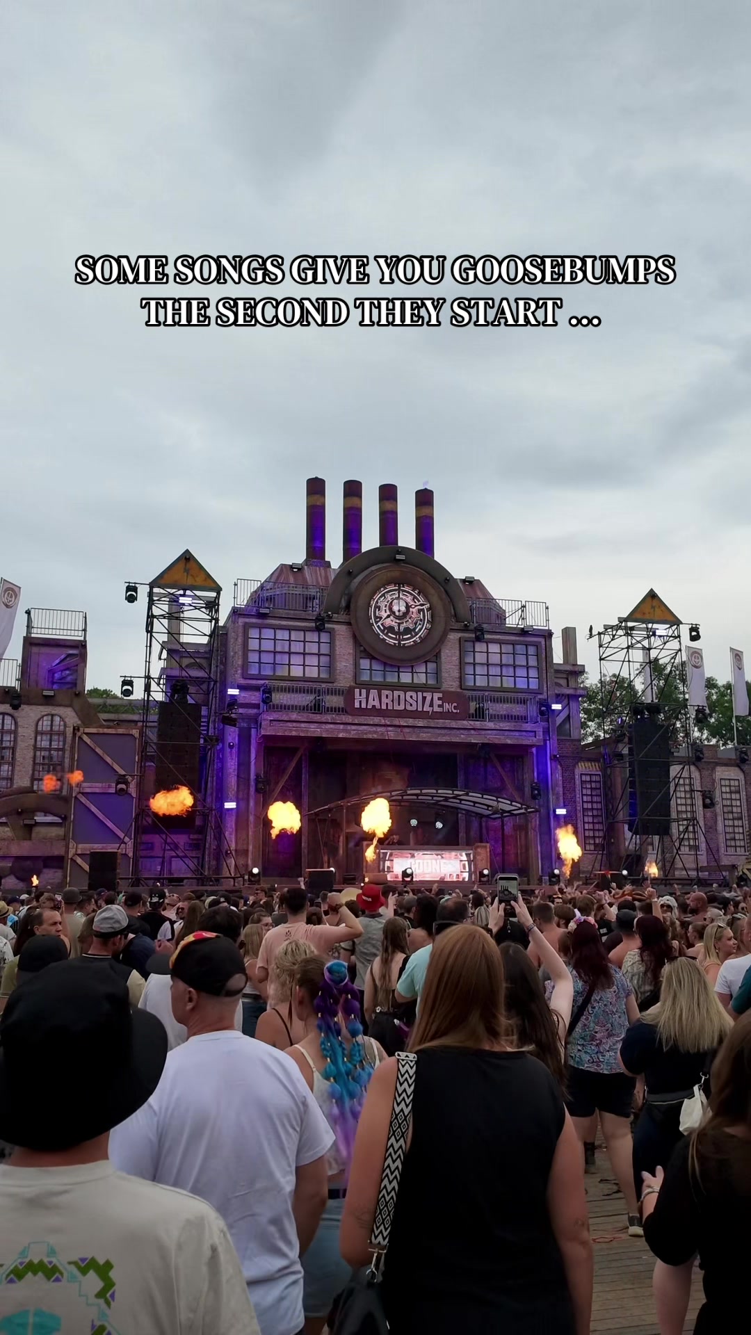 @Nelson | Festival Moments