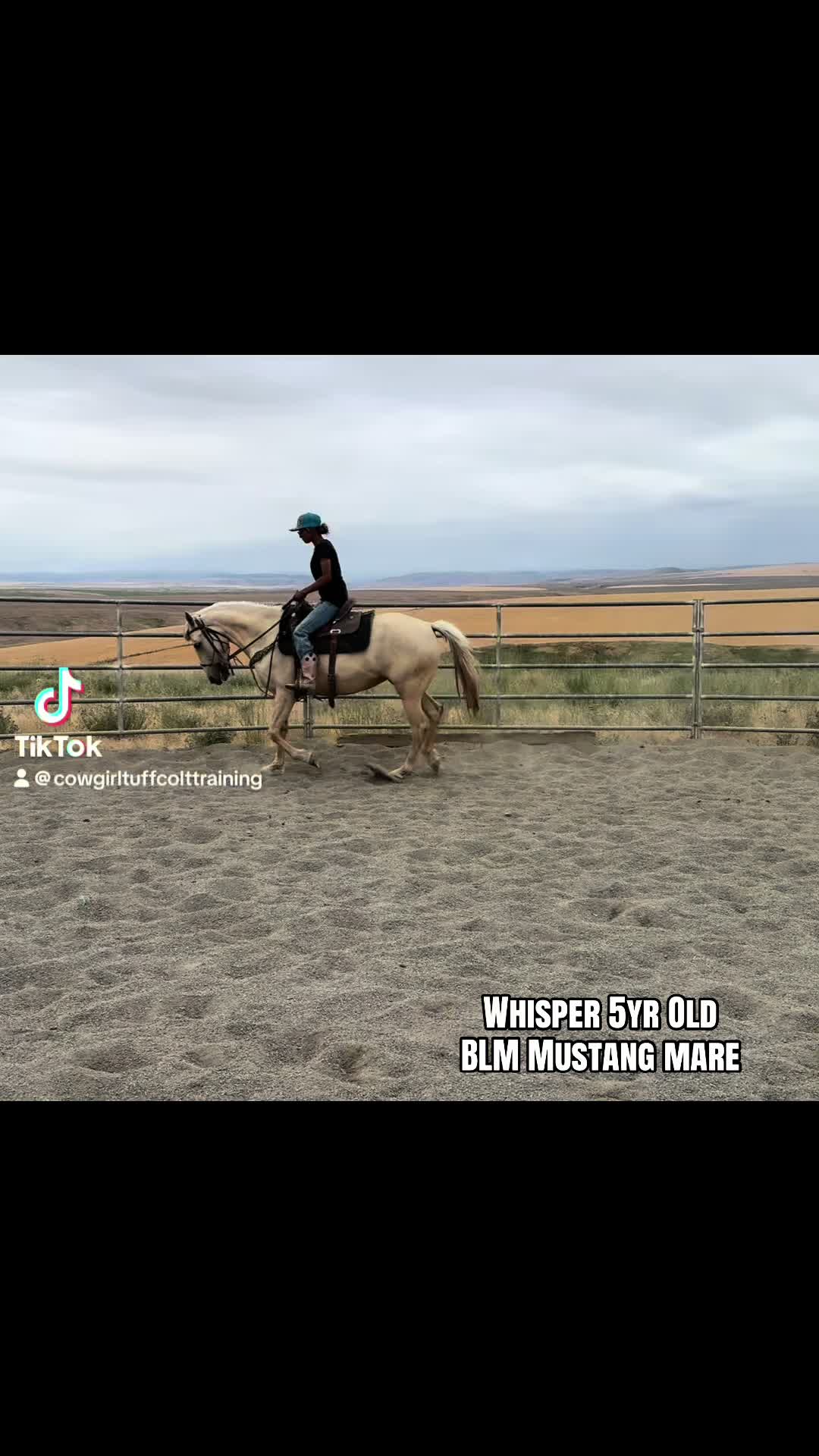 @Cowgirl Tuff Colt Training ❤️