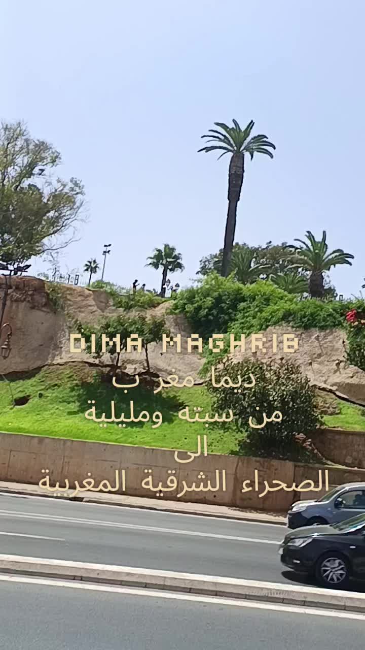 @''احلى عسل" النجمة الساحرة'"